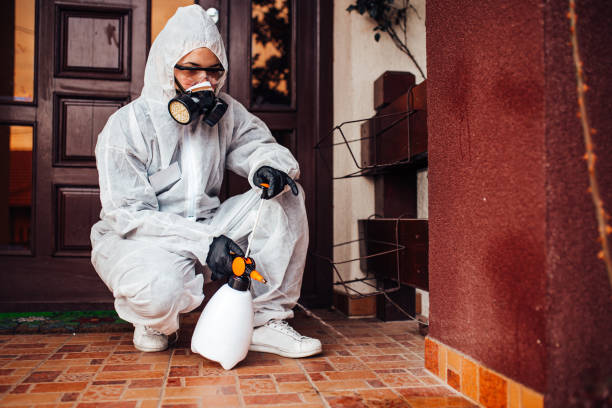 Reliable Ant Control contractor in Lillington, NC by Show Me Pest Control